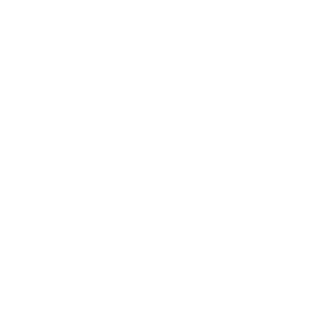 icon2 01