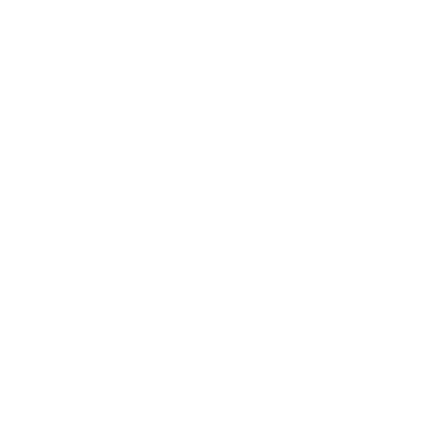icon2 03